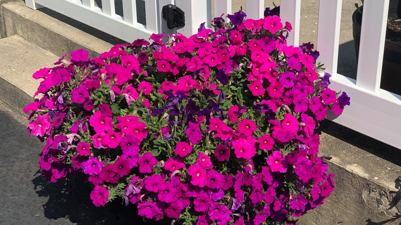 Photo of Outdoor in Ogunquit - Wells