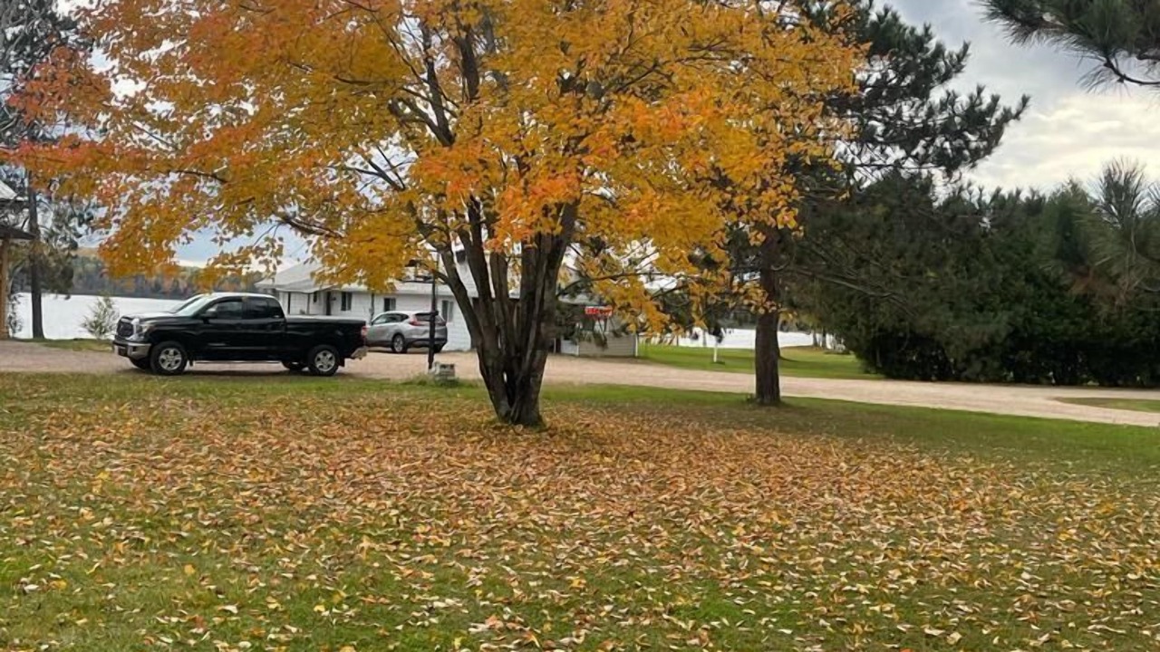 Photo of Outdoor in Eau Claire
