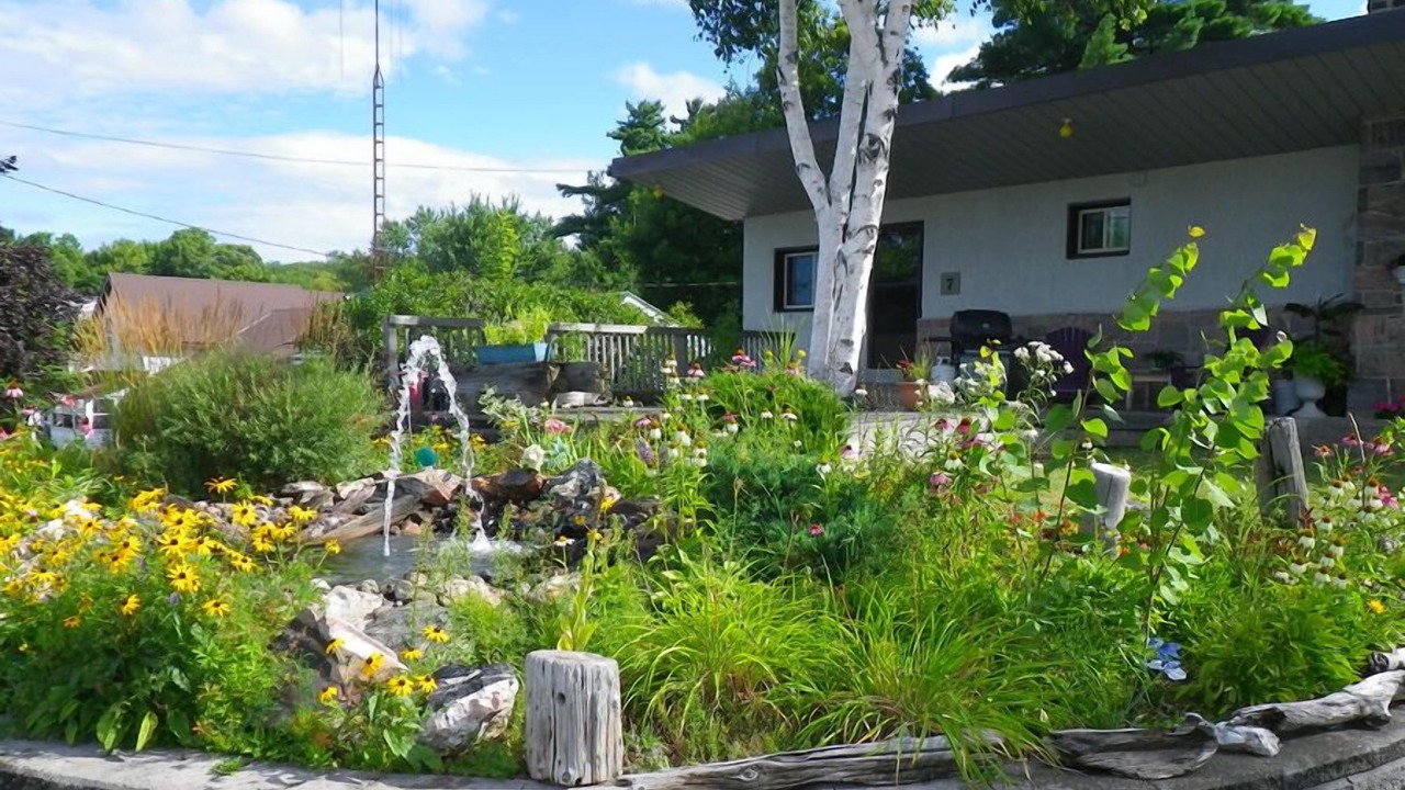 Photo of Outdoor in Parry Sound