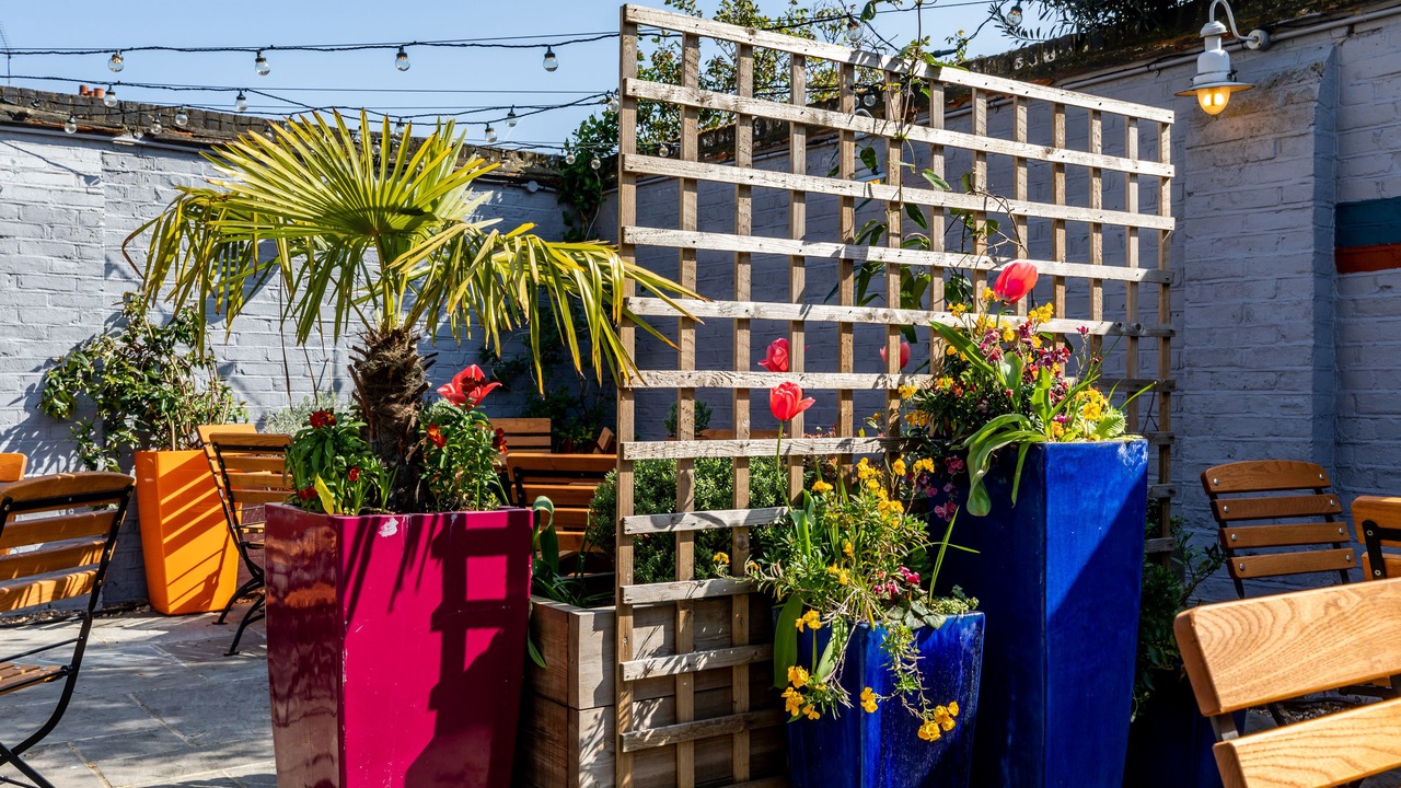 Photo of Outdoor in Lee Green