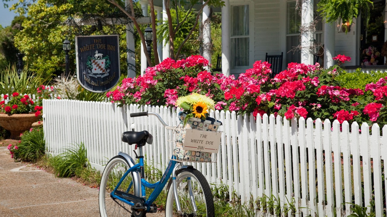 Photo of Outdoor in Historic Downtown Manteo