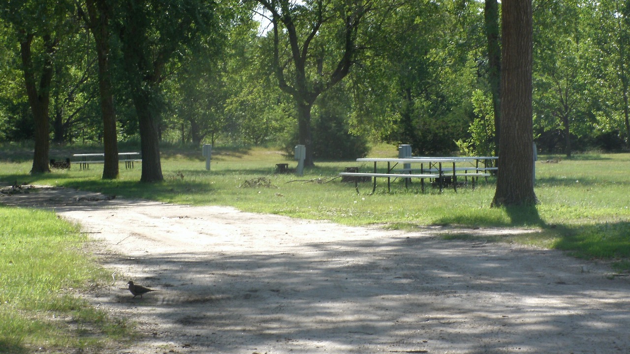Photo of Others in Atkinson