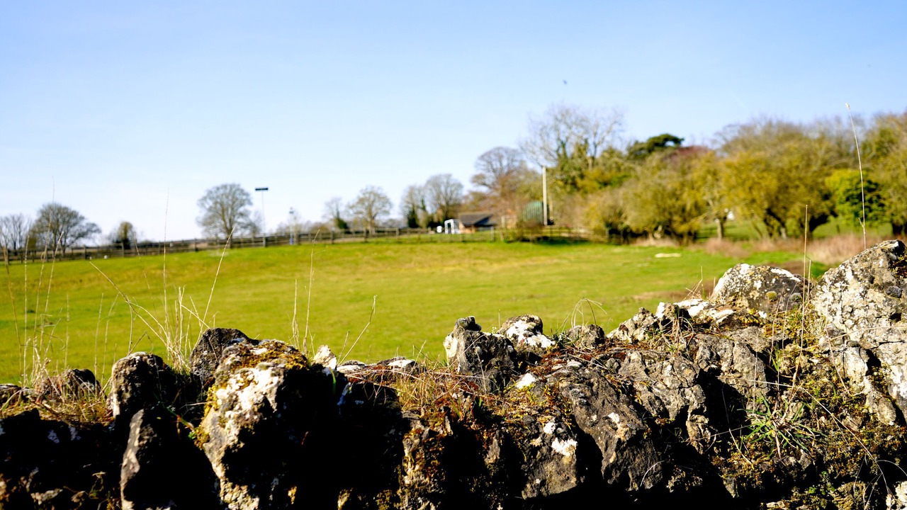 Photo of Others in Twywell