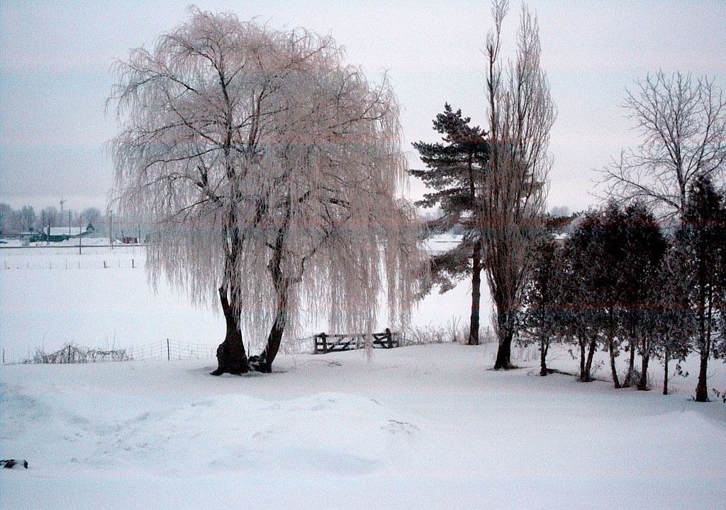Photo of Outdoor in Winchester