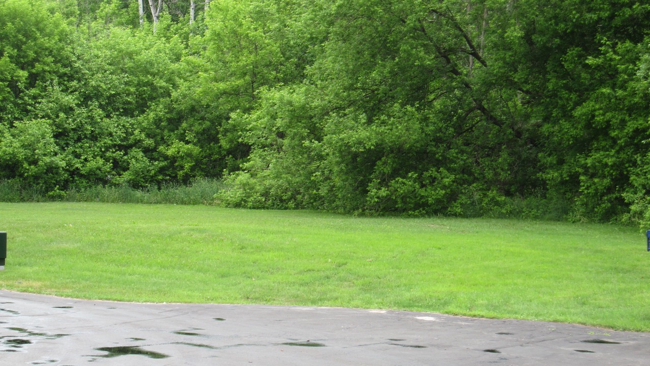 Photo of Outdoor in Bracebridge