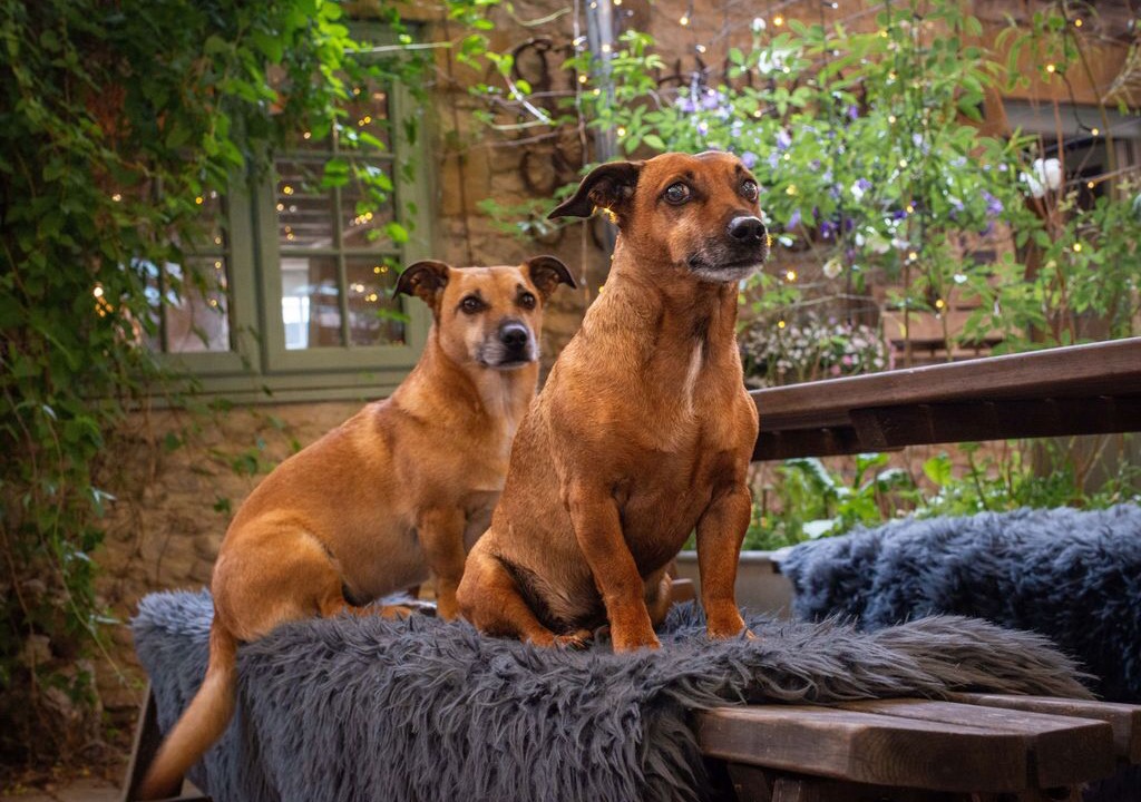 Photo of Others in Easterside