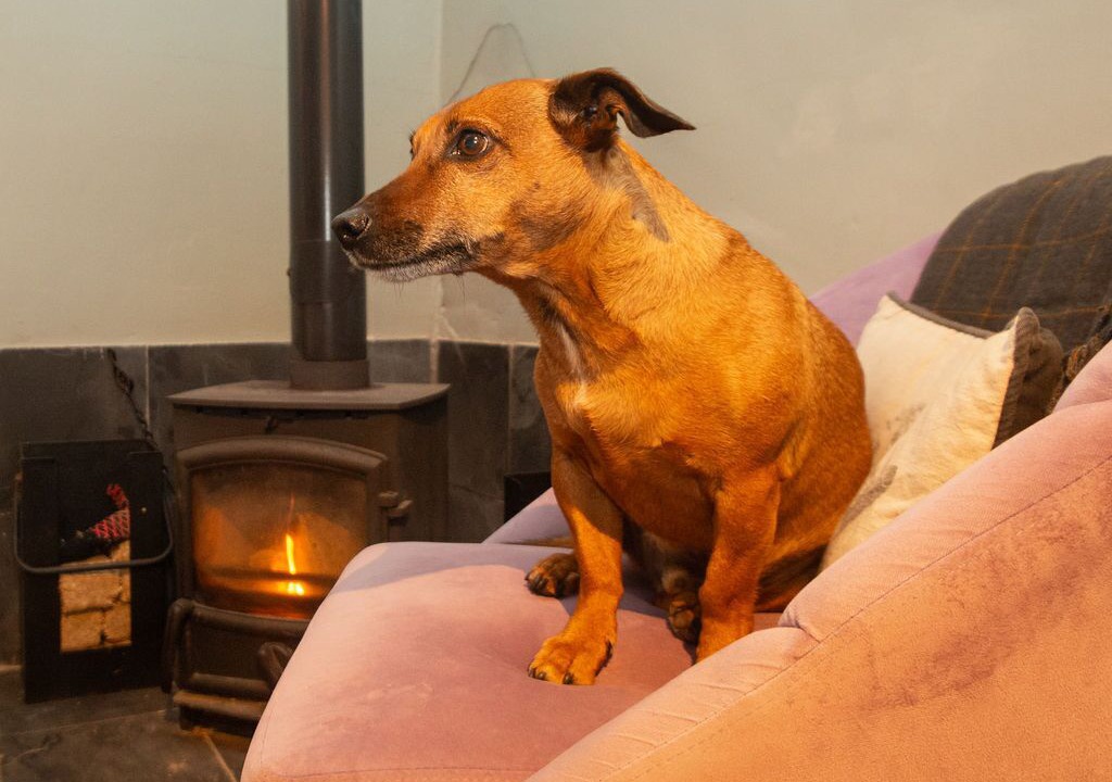 Photo of Bedroom in Easterside