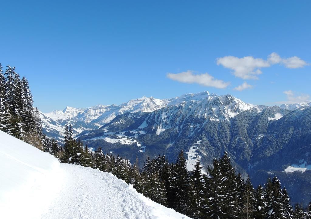 Photo of Outdoor in Leysin