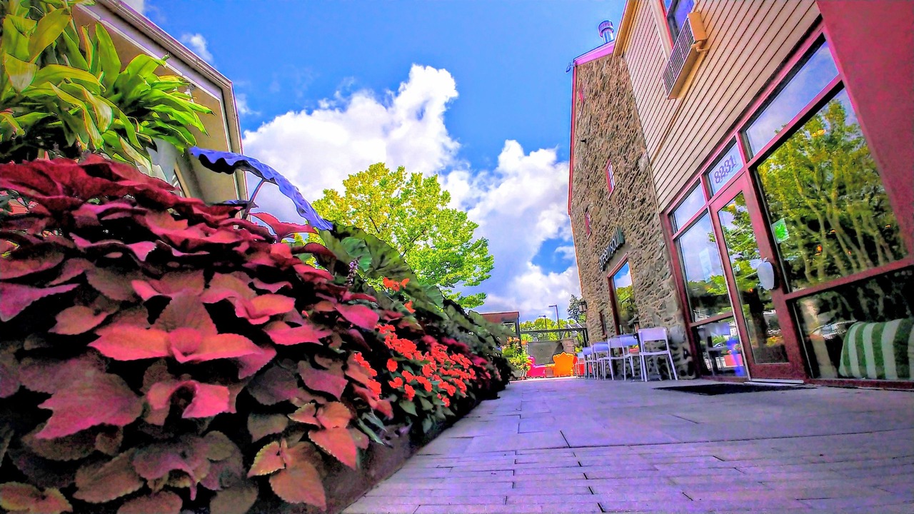 Photo of Patio Balcony in Chestnut Hill
