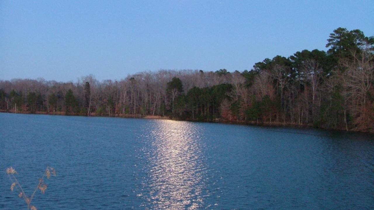 Photo of Outdoor in Jonesboro