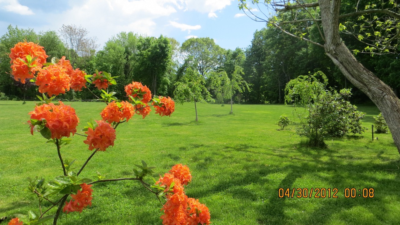 Photo of Outdoor in Poquetanuck