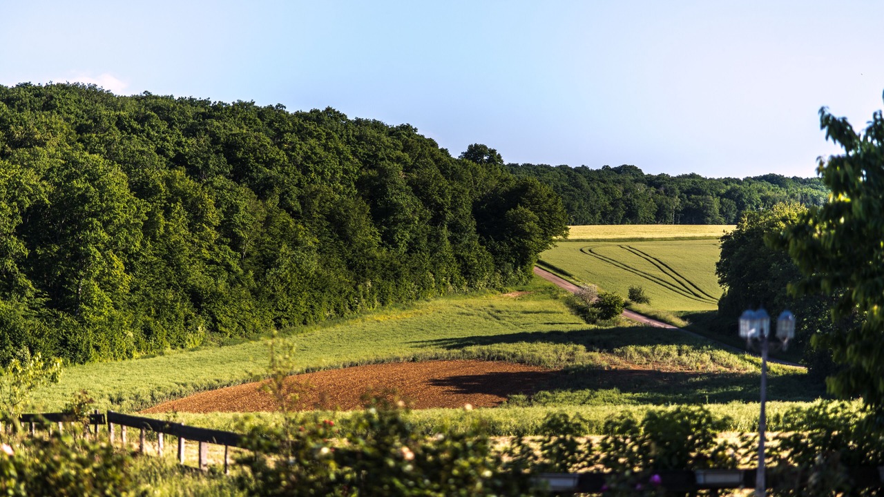 Photo of Outdoor in Etais-la-Sauvin