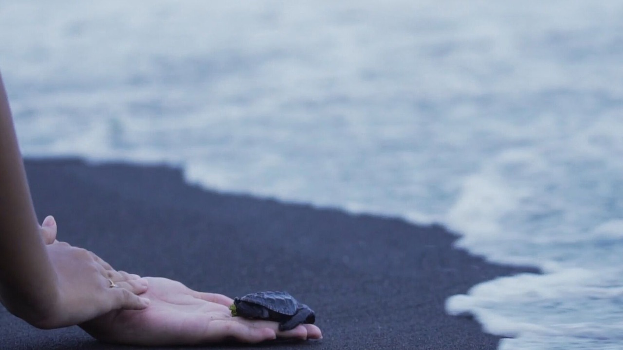 Photo of Others in Kalipuro