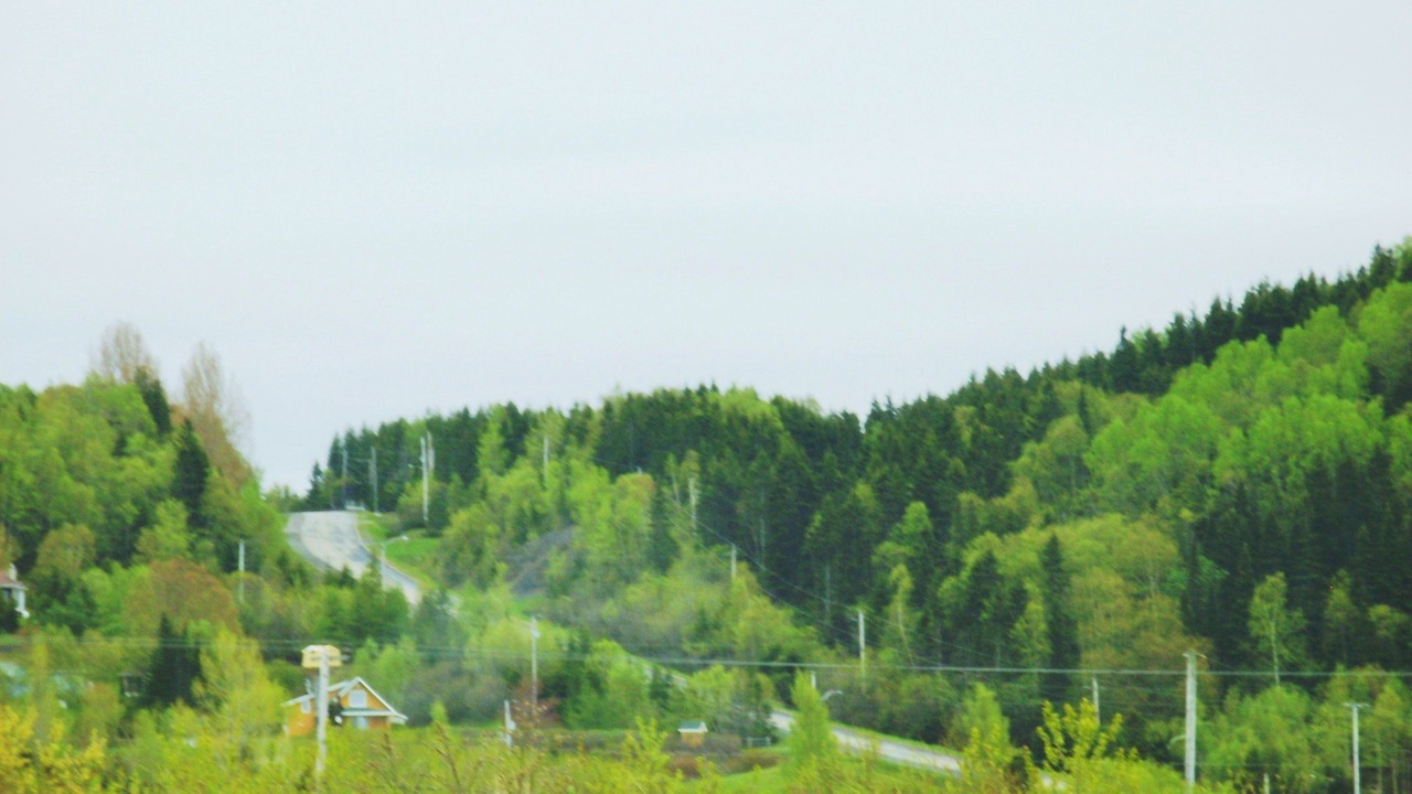 Photo of Others in Sainte-Anne-des-Monts
