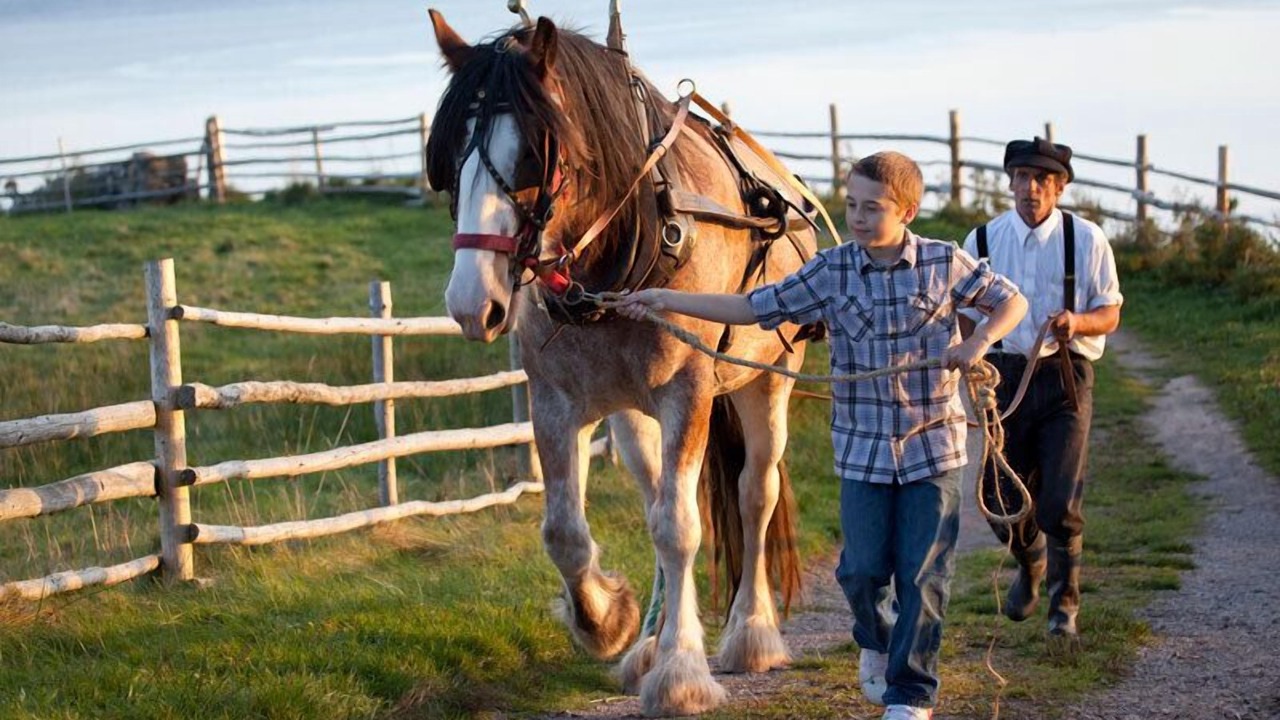 Photo of Others in Iona
