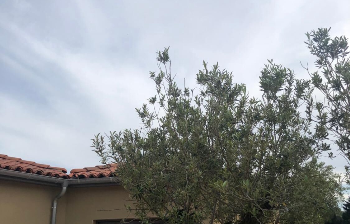 Photo of Outdoor in Donneville