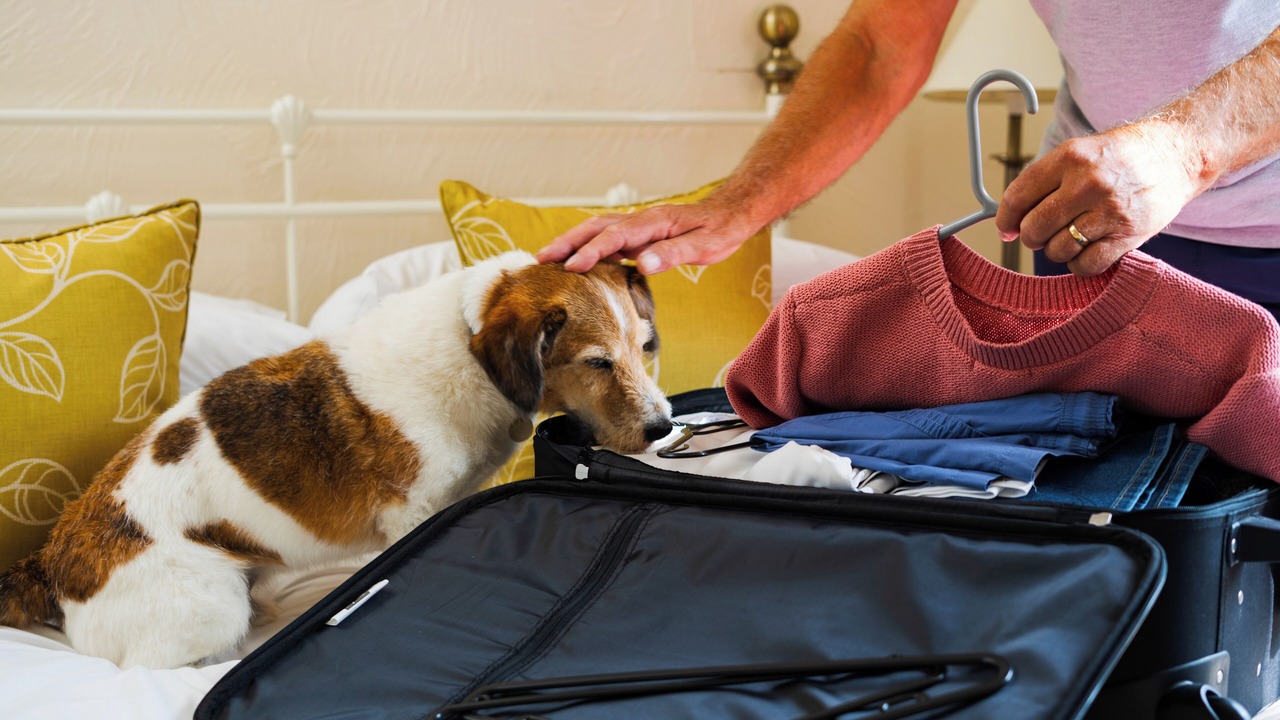 Photo of Others in Croyde