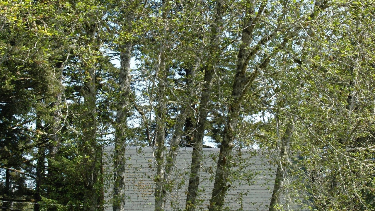 Photo of Others in Florence