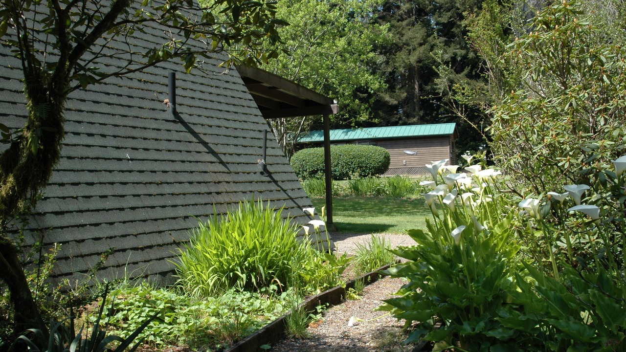 Photo of Others in Florence