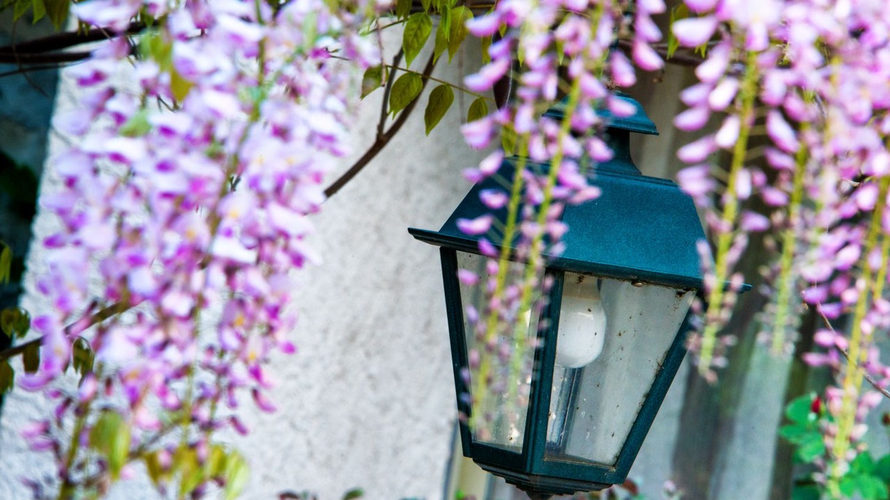 Photo of Outdoor in Castellane