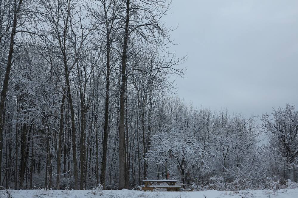 Photo of Others in South Burlington