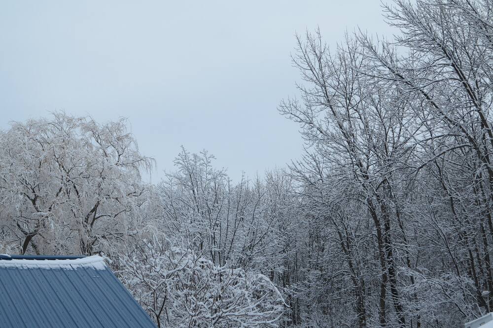 Photo of Others in South Burlington