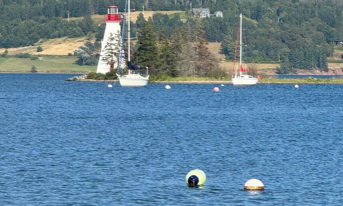 Photo of Others in Baddeck