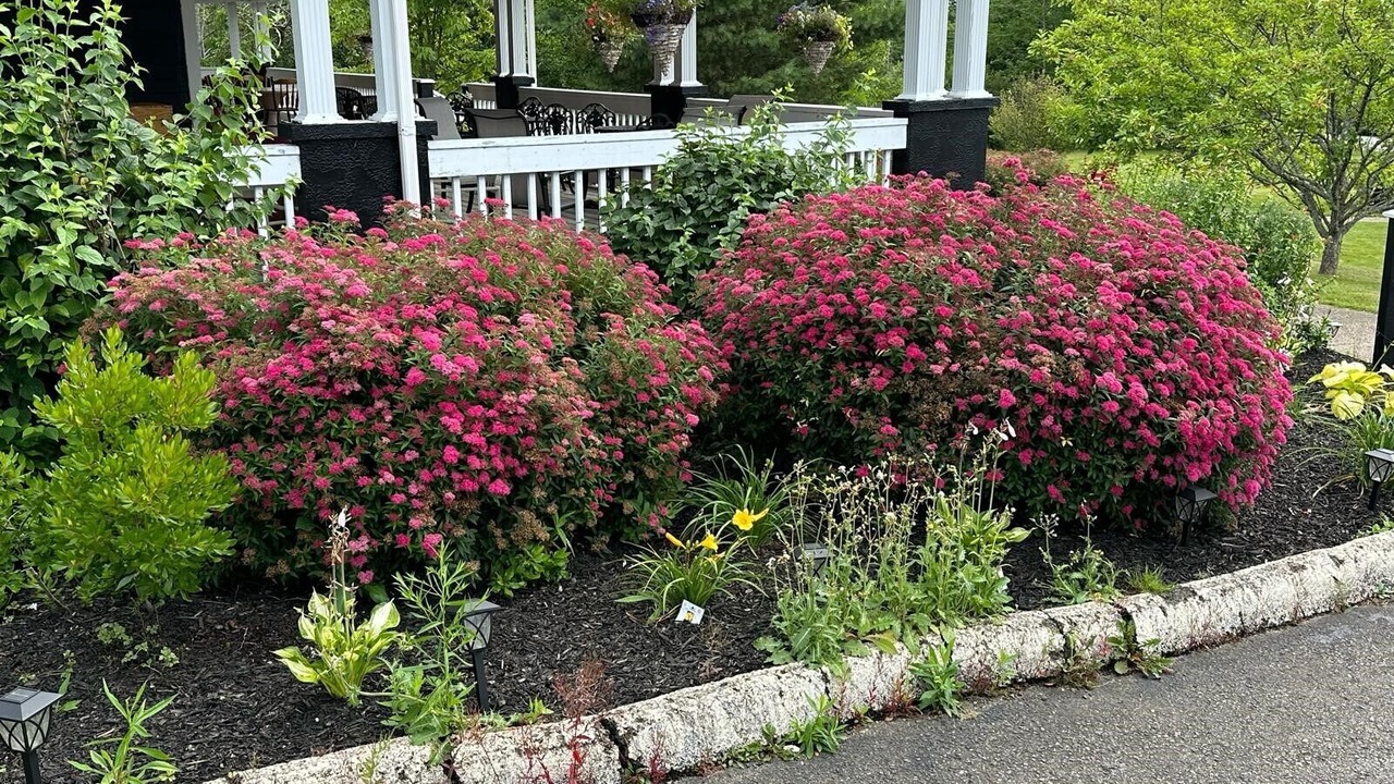 Photo of Others in Baddeck