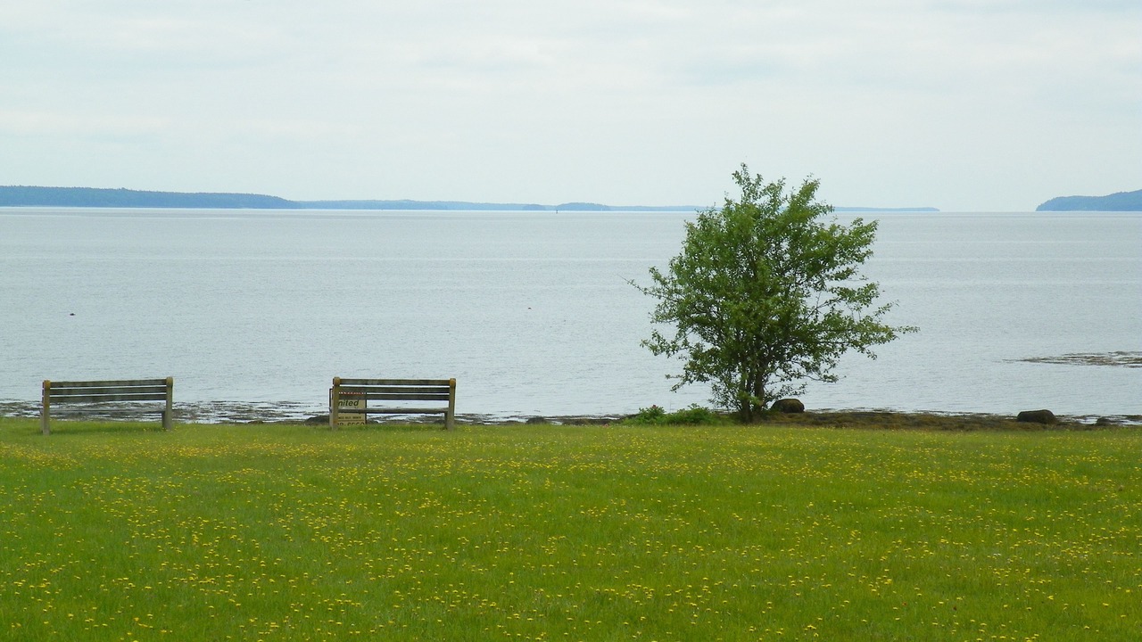 Photo of Others in Searsport