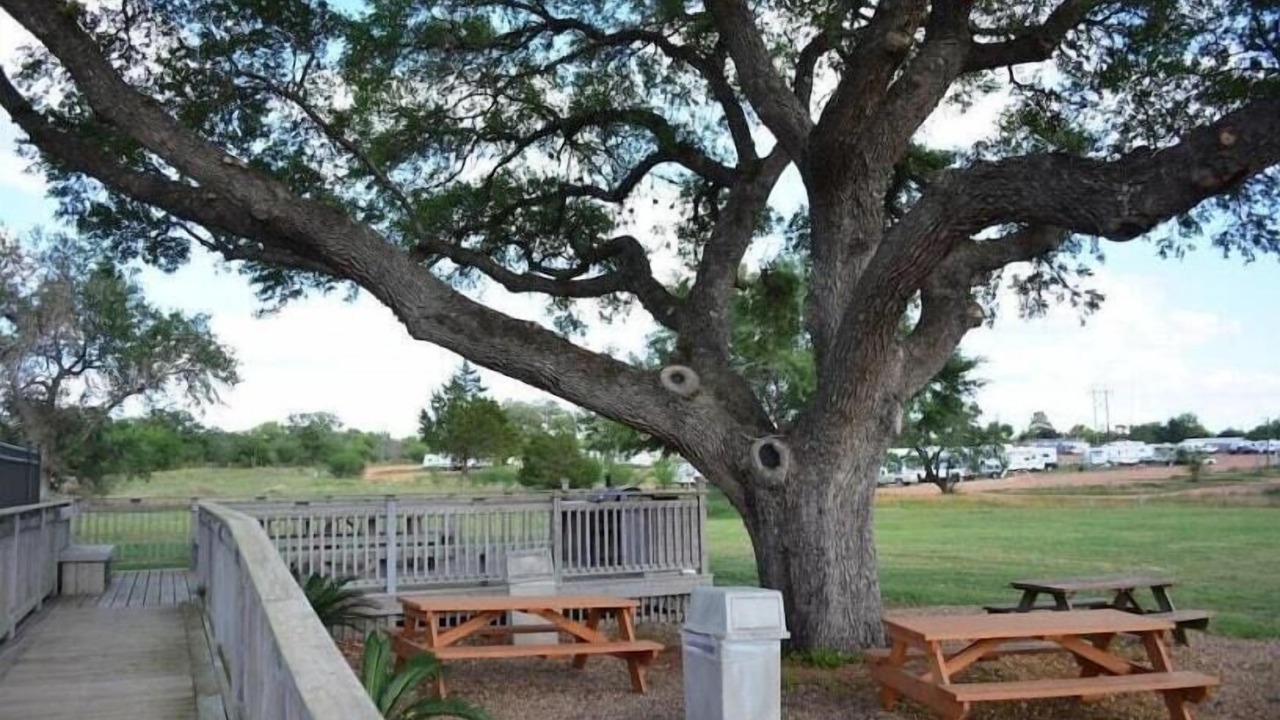 Photo of Outdoor in Cuero