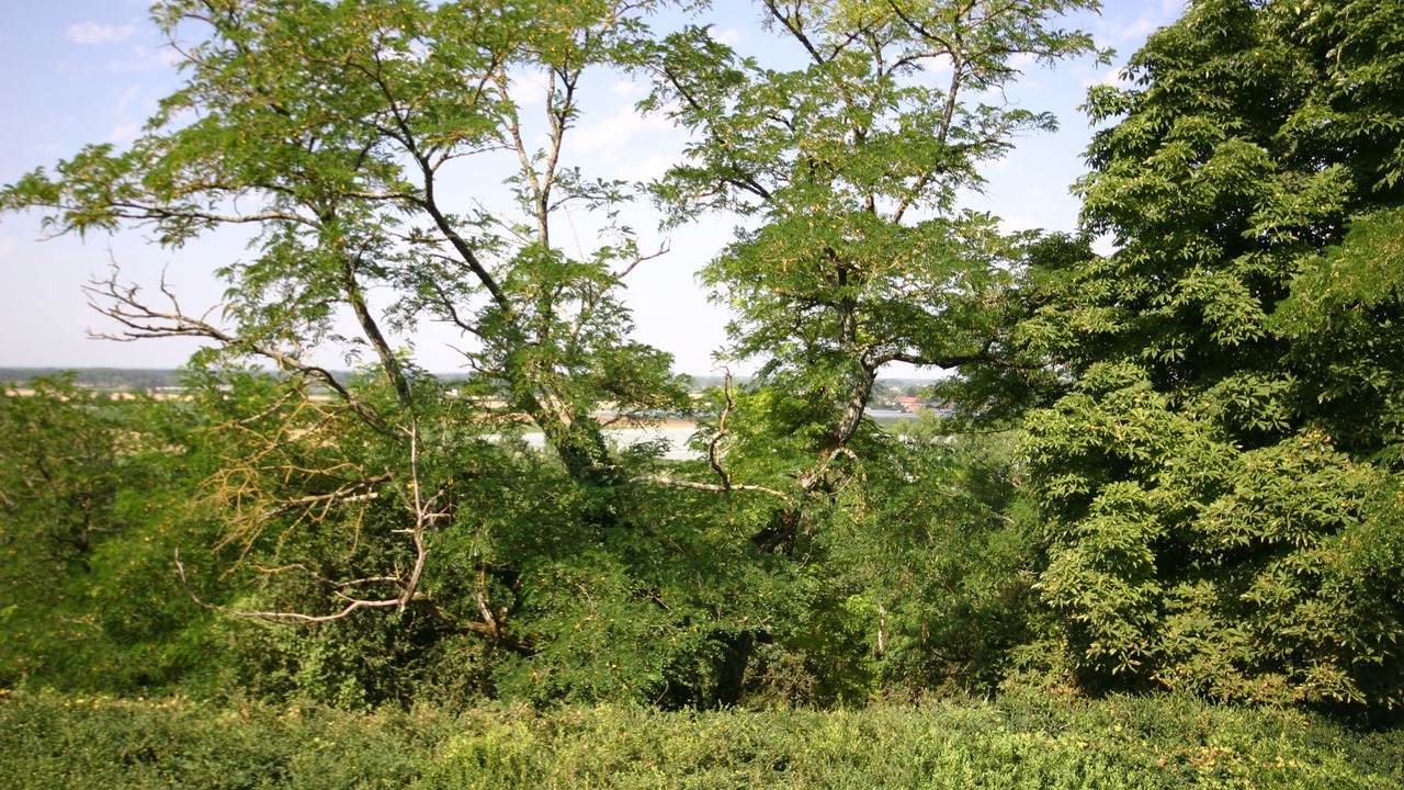 Photo of Bedroom in L'Honor-de-Cos