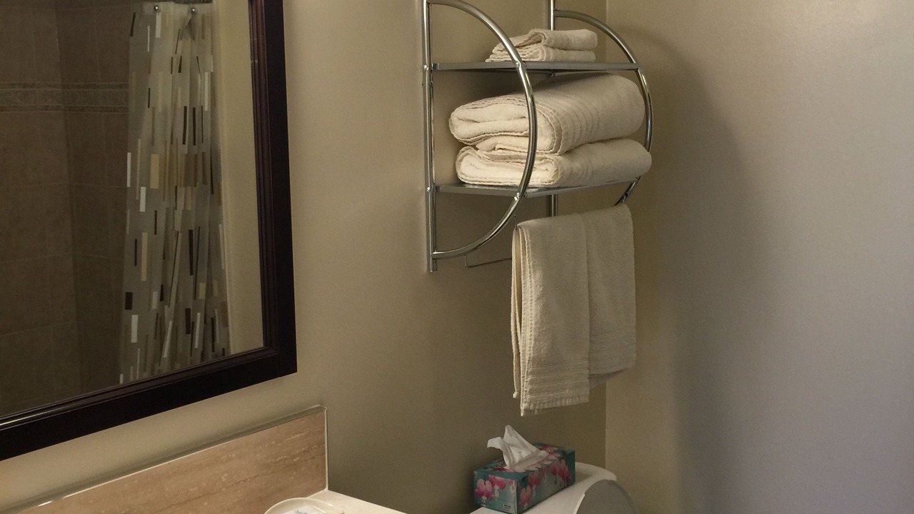 Photo of Others in Downtown Ottawa