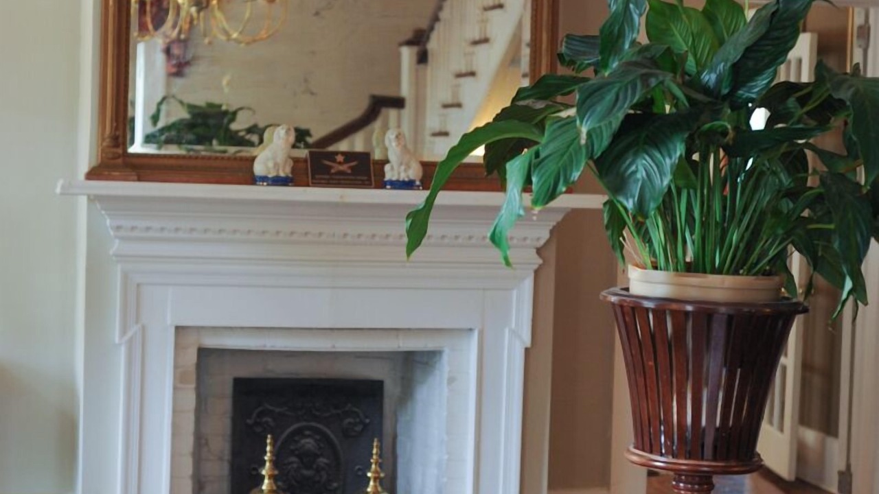 Photo of Livingroom in Aiken