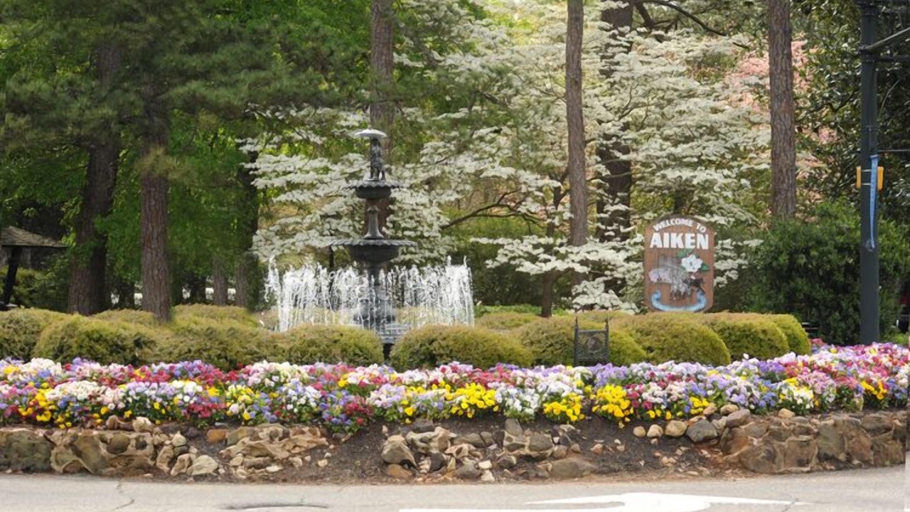 Photo of Others in Aiken