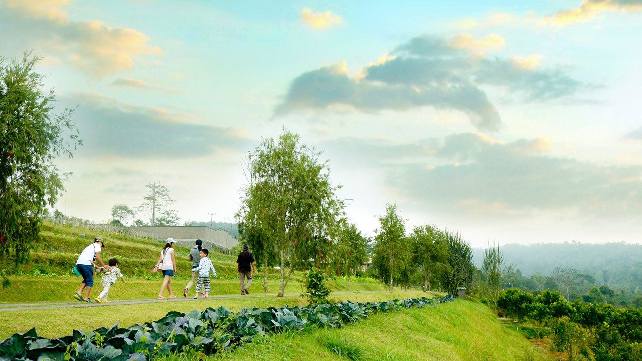 Photo of Outdoor in Pelaga