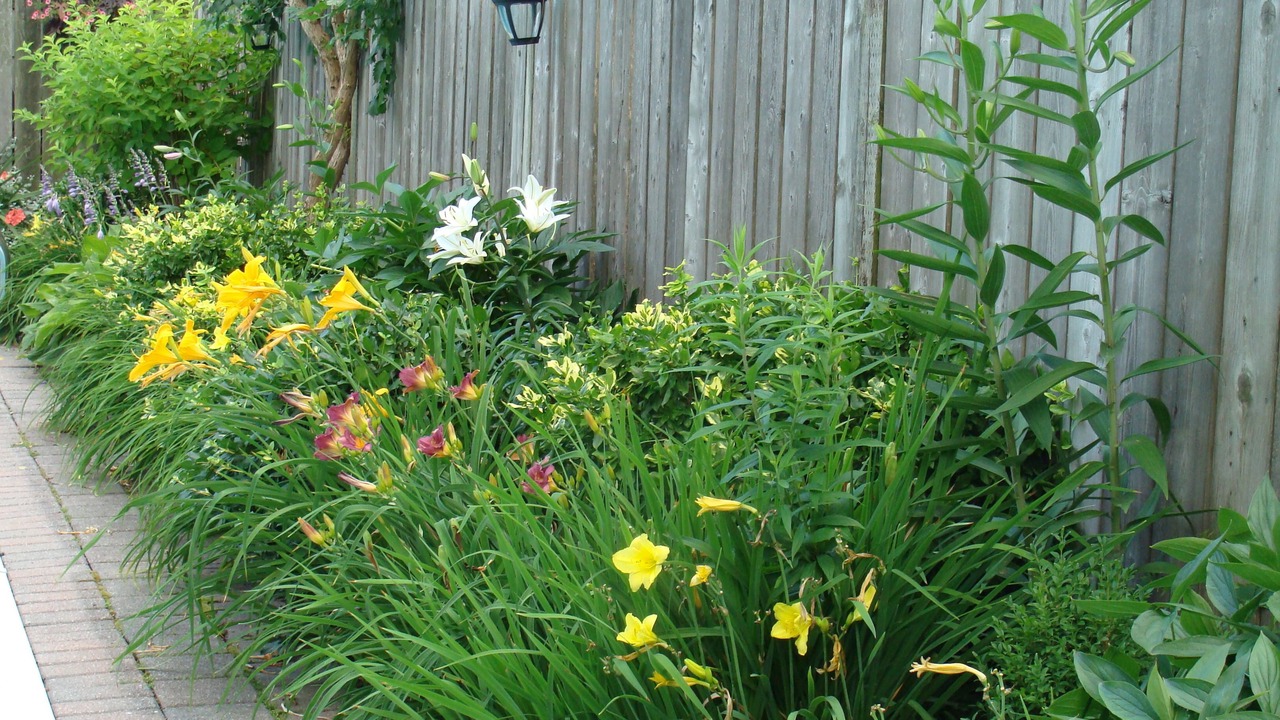 Photo of Outdoor in Thorold