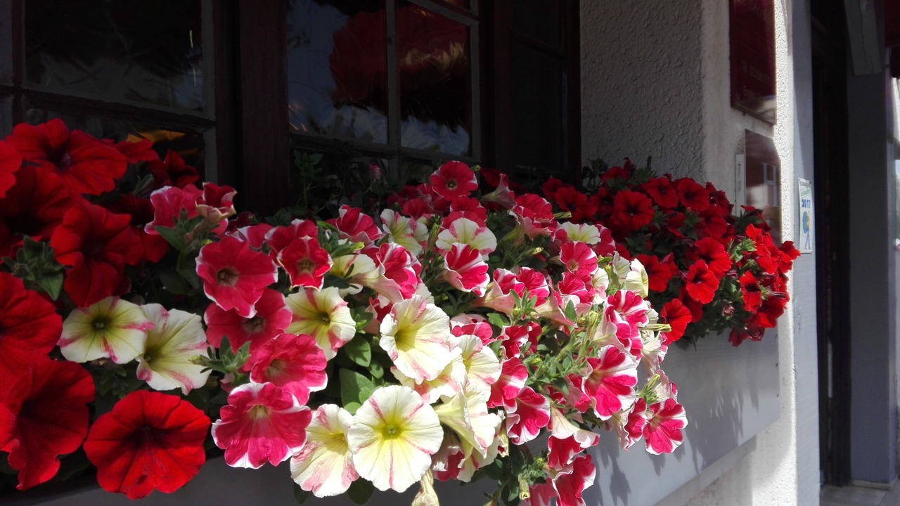 Photo of Outdoor in Deauville City Centre