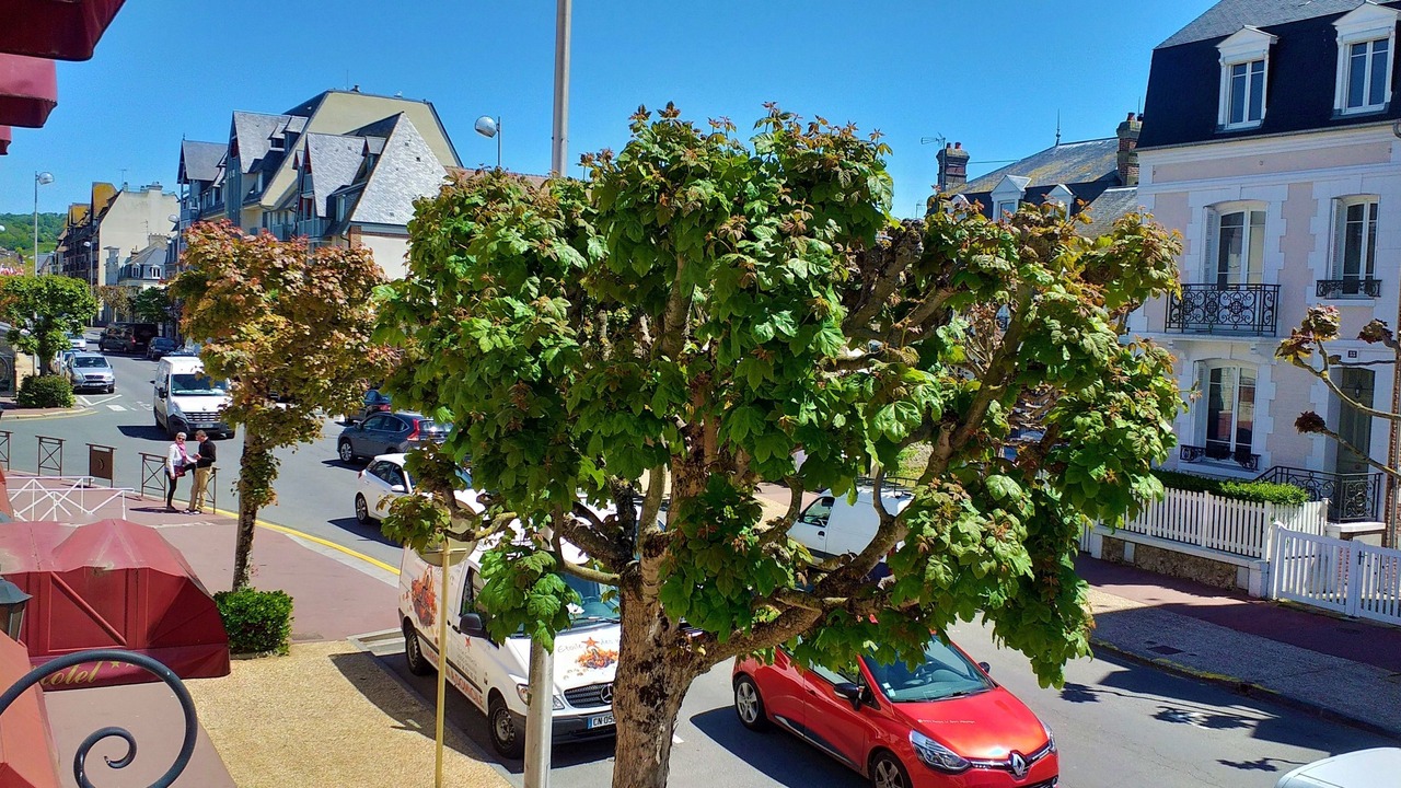 Photo of Others in Deauville City Centre