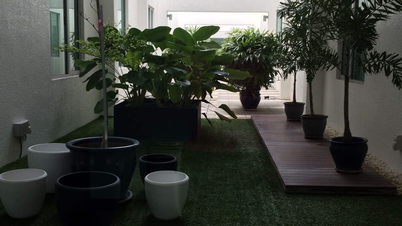 Photo of Others in Kampung Permatang Bogak