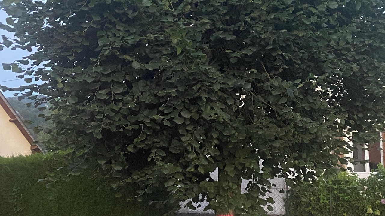 Photo of Outdoor in Gerde