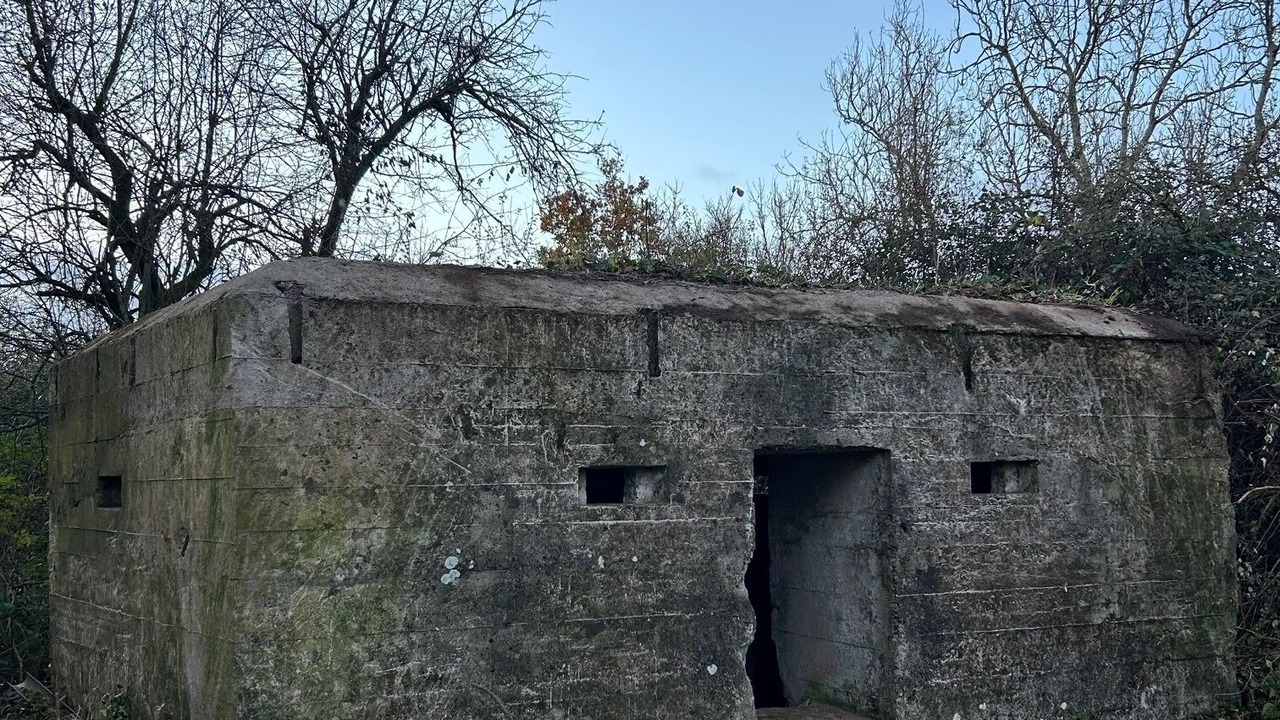 Photo of Others in Chard