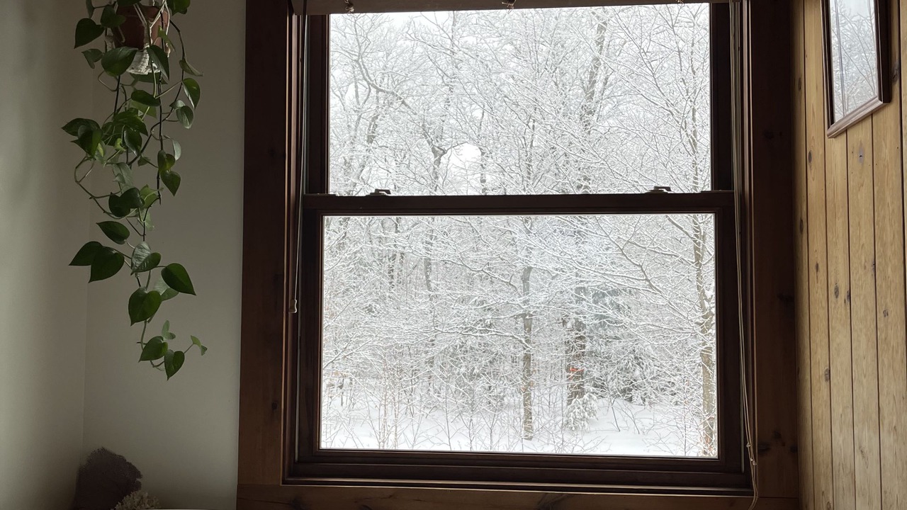 Photo of Others in Ste-Lucie-des-Laurentides