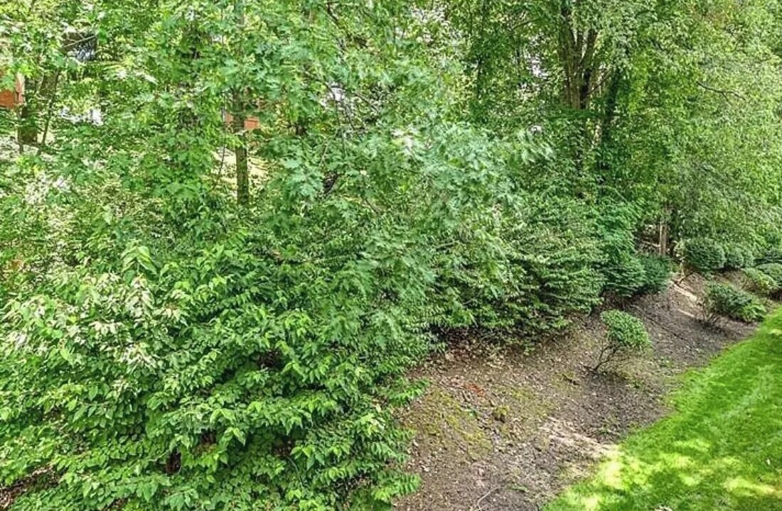 Photo of Outdoor in McKnight
