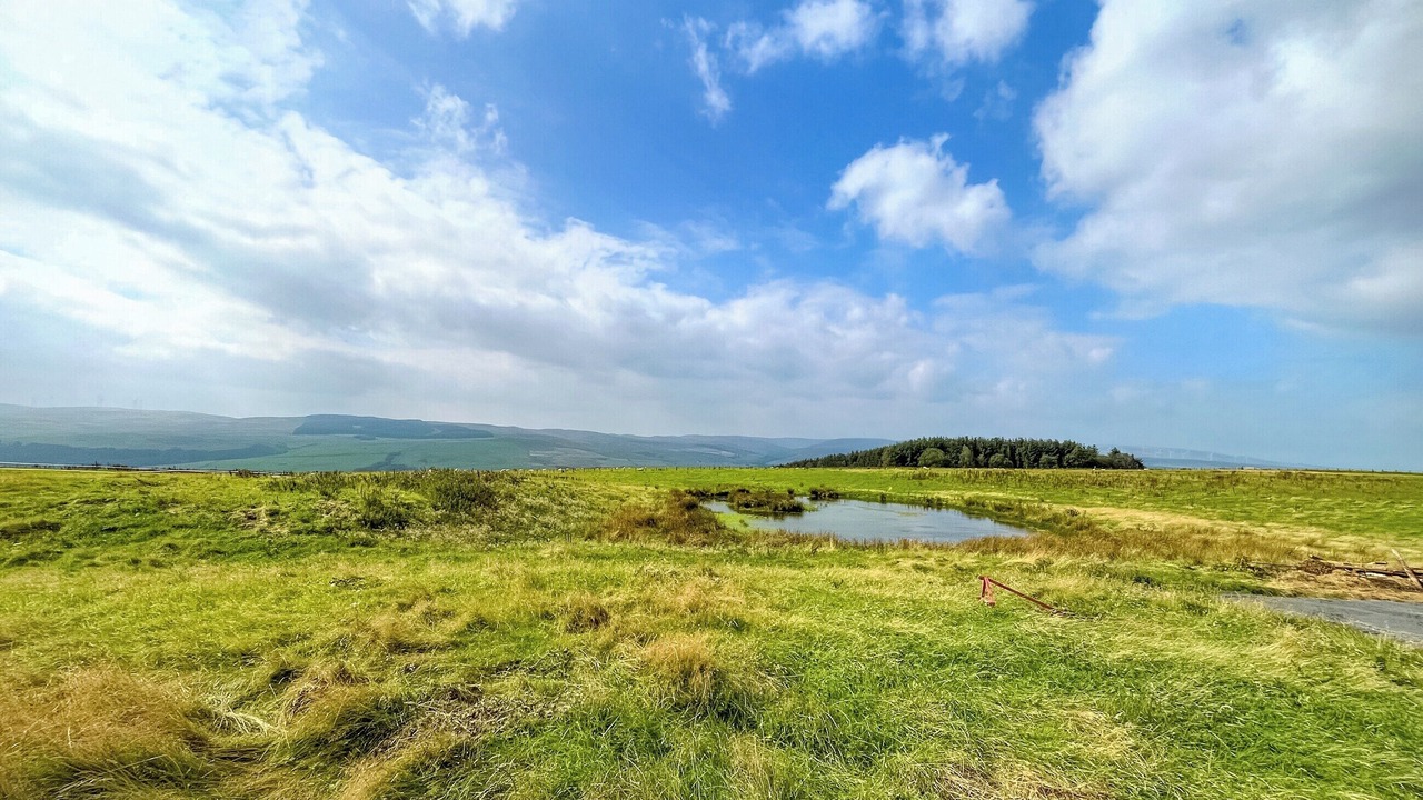 Photo of Others in Sanquhar