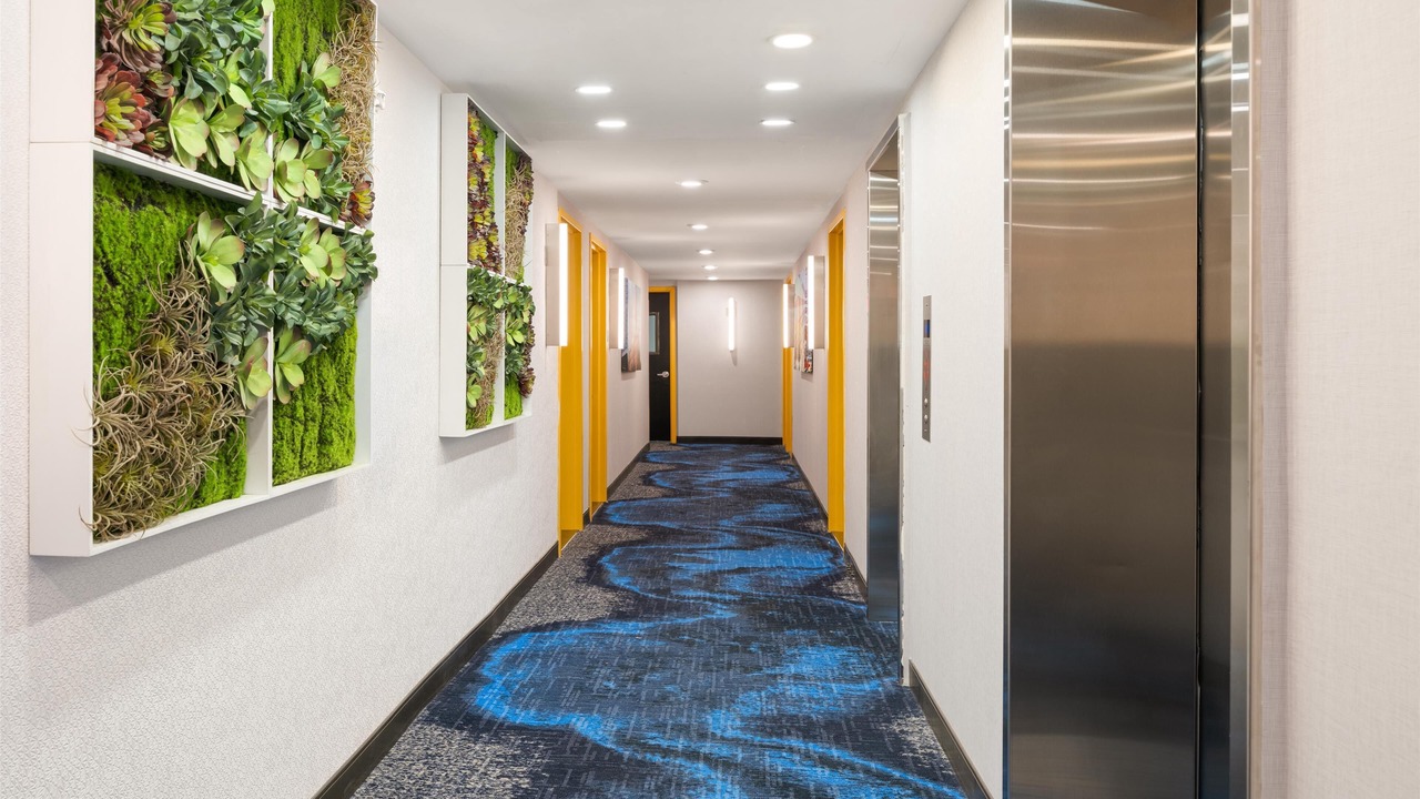 Photo of Others in West Bronx