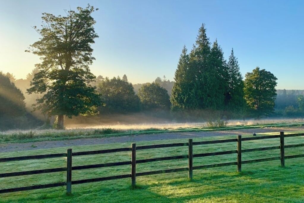 Photo of Others in Cranbrook