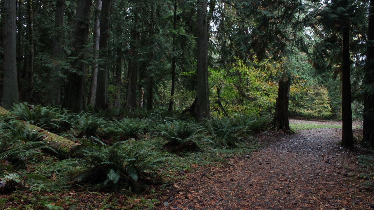 Photo of Others in Geneva