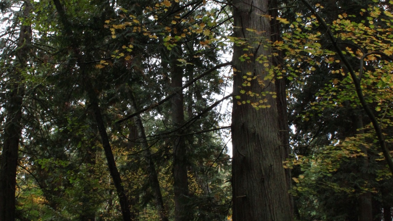 Photo of Others in Geneva