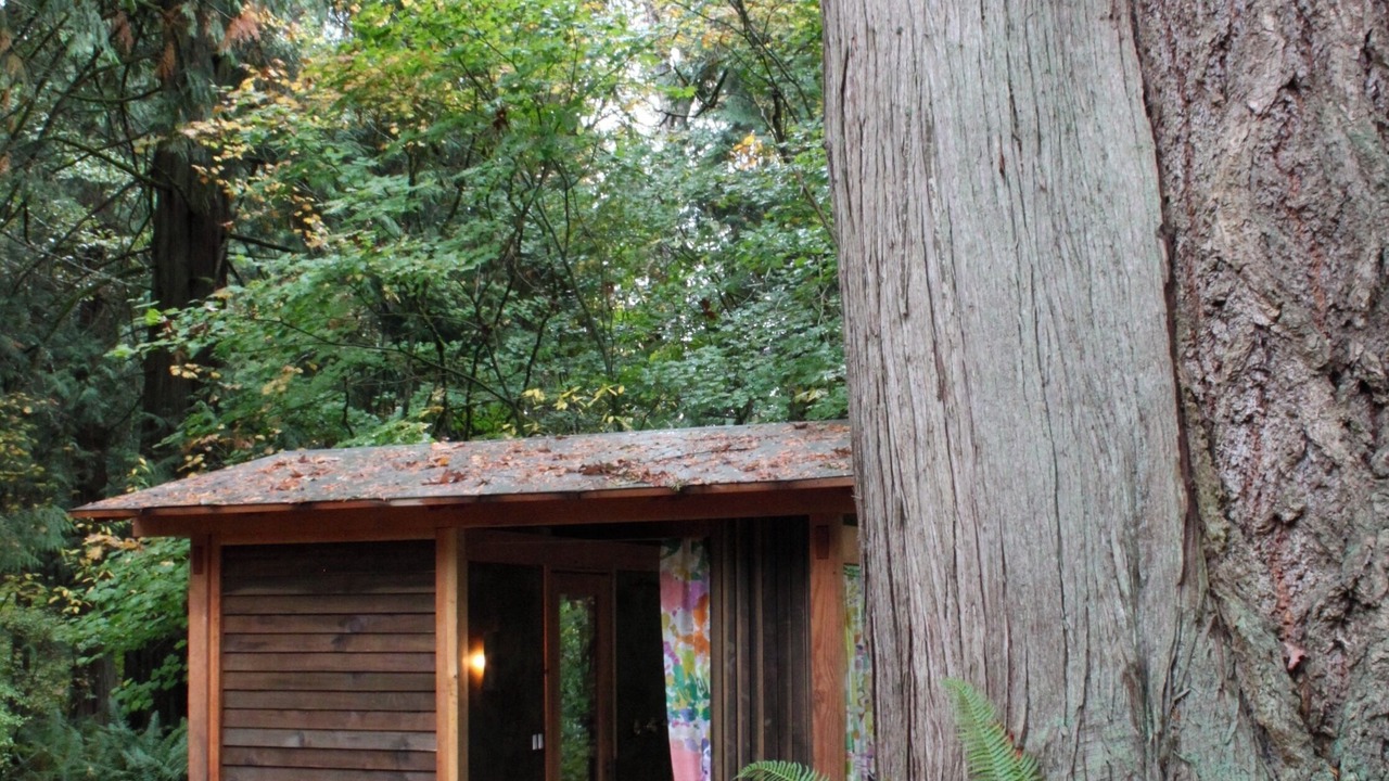 Photo of Outdoor in Geneva