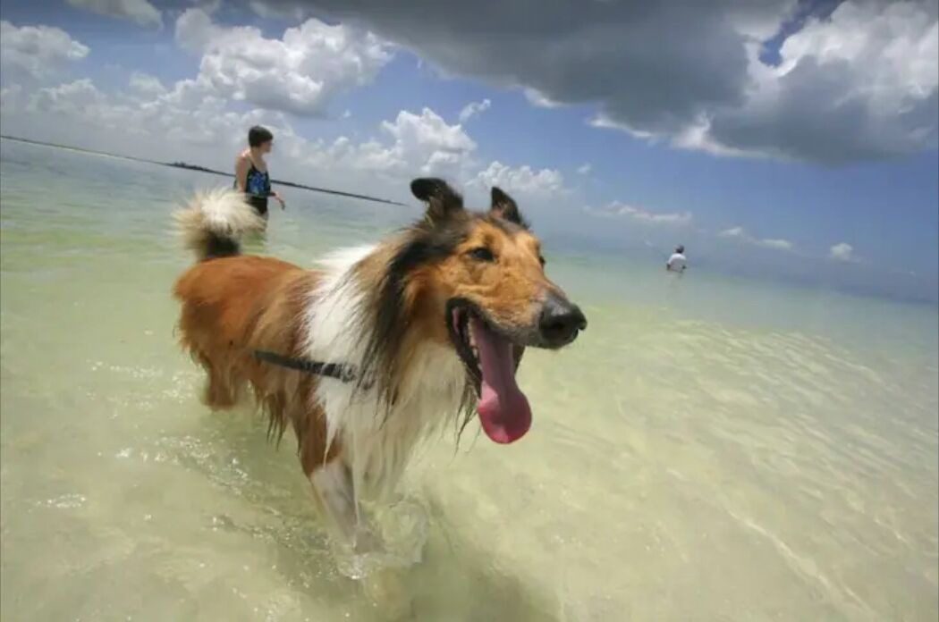 Photo of Others in Burwood